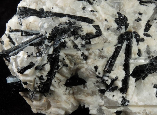 Schorl Tourmaline in Albite from La Flamme Quarry, Minot, Androscoggin County, Maine