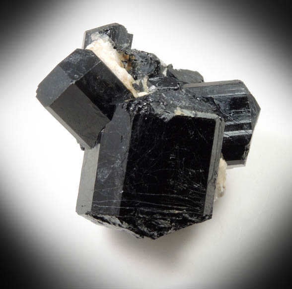 Schorl Tourmaline from ledge above the Harvard Quarry, Greenwood, Oxford County, Maine