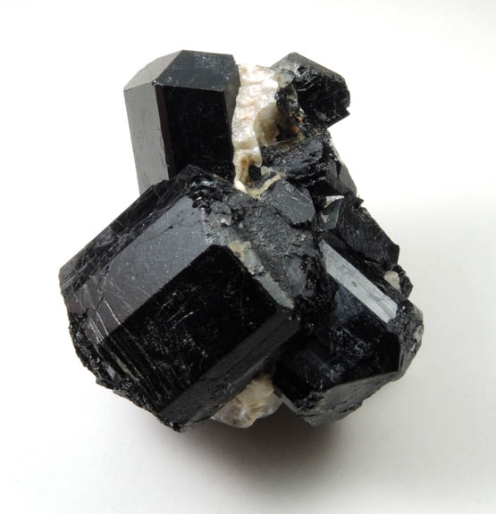 Schorl Tourmaline from ledge above the Harvard Quarry, Greenwood, Oxford County, Maine