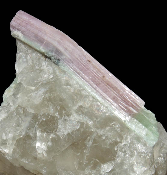 Elbaite Tourmaline in Quartz from Berry-Havey Quarry, Poland, Androscoggin County, Maine