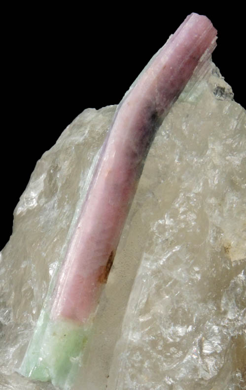 Elbaite Tourmaline in Quartz from Berry-Havey Quarry, Poland, Androscoggin County, Maine