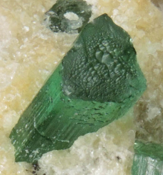 Elbaite Tourmaline in Albite, Lepidolite from Havey Quarry, Spaniard's Pocket, Poland, Androscoggin County, Maine