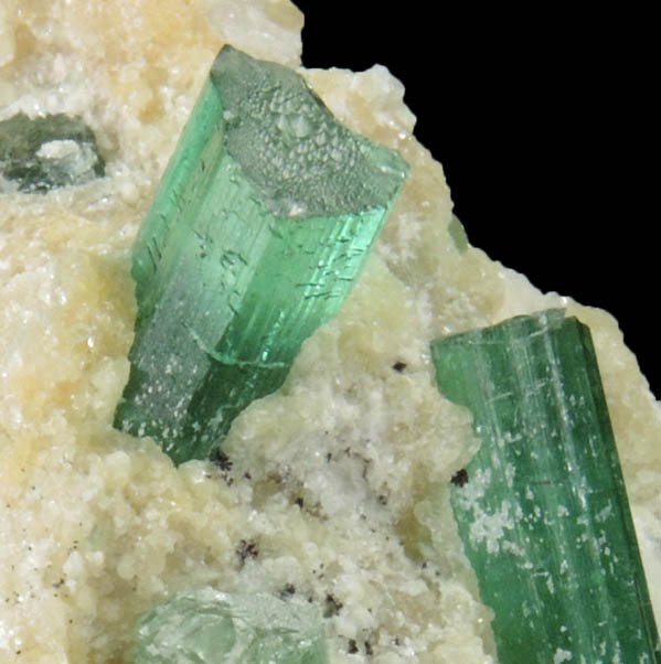 Elbaite Tourmaline in Albite, Lepidolite from Havey Quarry, Spaniard's Pocket, Poland, Androscoggin County, Maine