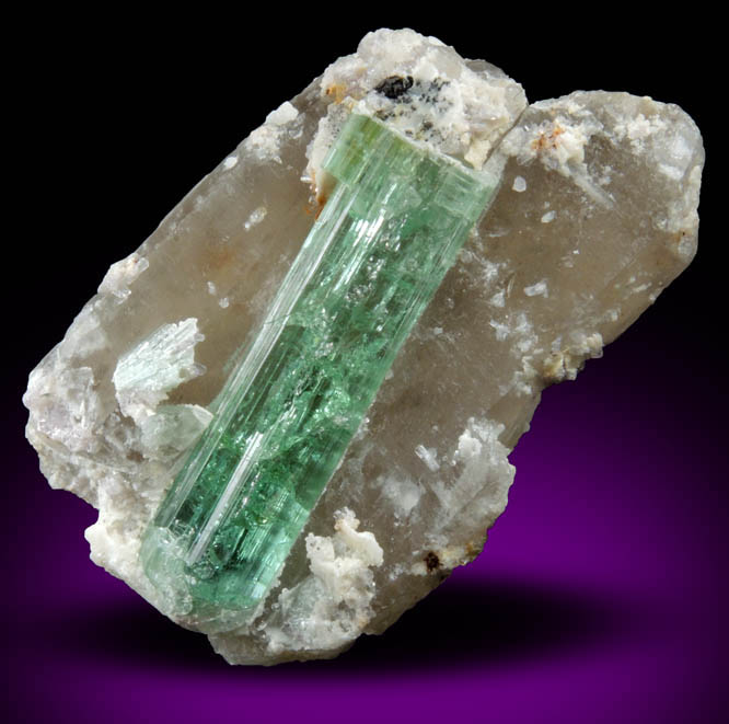 Elbaite Tourmaline on Quartz from Havey Quarry, Spaniard's Pocket, Poland, Androscoggin County, Maine