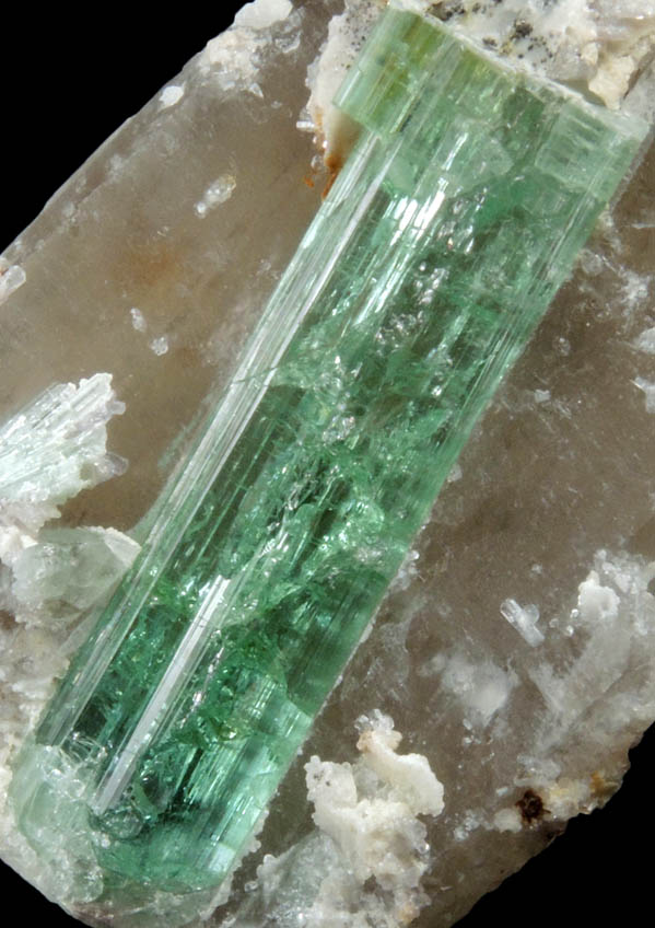 Elbaite Tourmaline on Quartz from Havey Quarry, Spaniard's Pocket, Poland, Androscoggin County, Maine