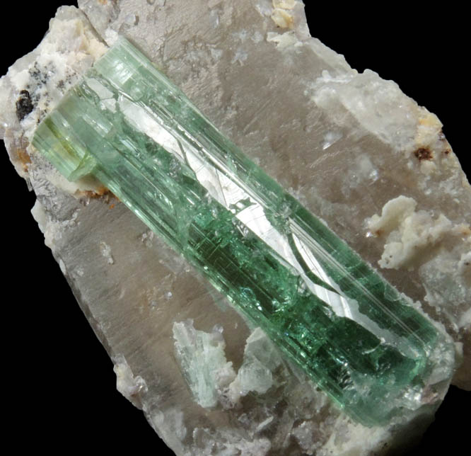 Elbaite Tourmaline on Quartz from Havey Quarry, Spaniard's Pocket, Poland, Androscoggin County, Maine