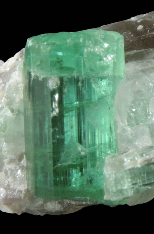 Elbaite Tourmaline on Quartz from Havey Quarry, Spaniard's Pocket, Poland, Androscoggin County, Maine