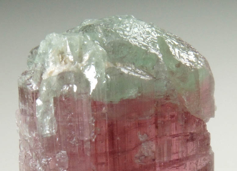 Elbaite Tourmaline from Dunton Quarry, Plumbago Mountain, Hall's Ridge, Newry, Oxford County, Maine