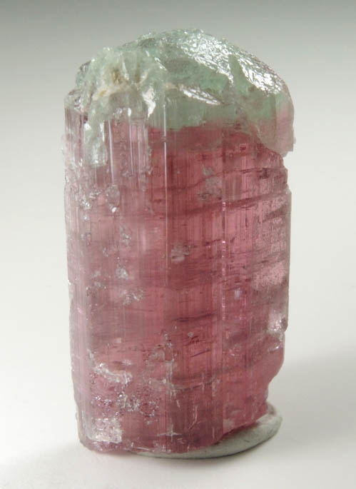 Elbaite Tourmaline from Dunton Quarry, Plumbago Mountain, Hall's Ridge, Newry, Oxford County, Maine