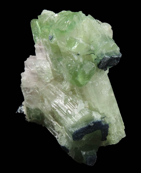 Elbaite Tourmaline from Mount Mica Quarry, Pocket 11, Paris, Oxford County, Maine