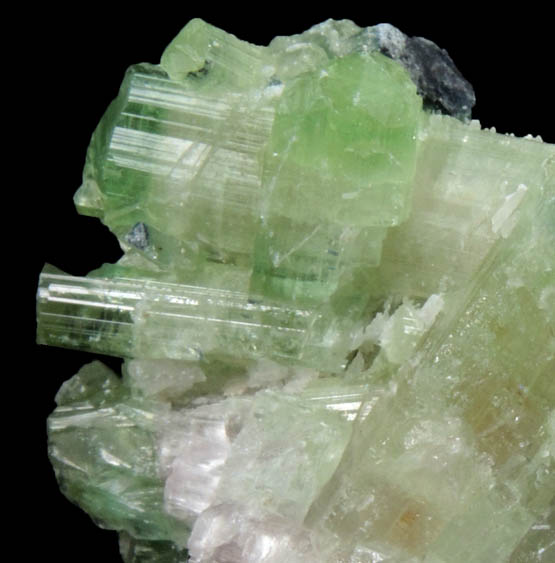 Elbaite Tourmaline from Mount Mica Quarry, Pocket 11, Paris, Oxford County, Maine