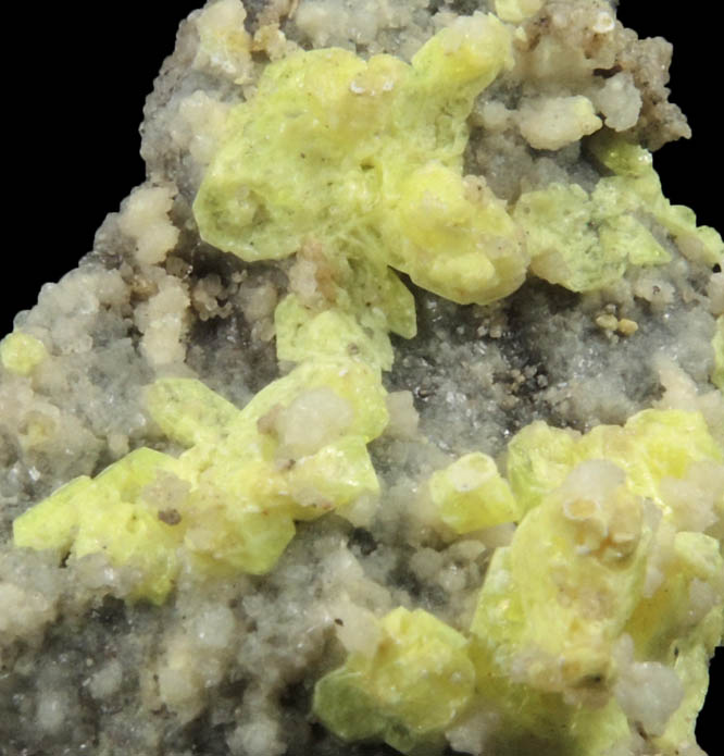 Andersonite from Ambrosia Lake District, 25 km north of Grants, McKinley County, New Mexico
