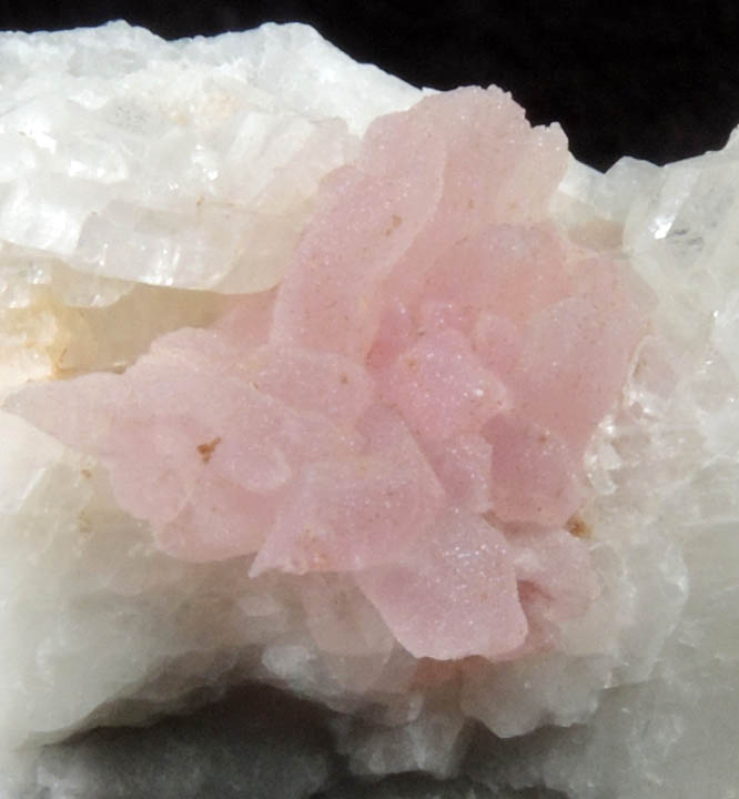 Quartz var. Rose Quartz Crystals on Albite from Rose Quartz Locality, Plumbago Mountain, Newry, Oxford County, Maine