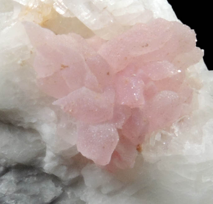 Quartz var. Rose Quartz Crystals on Albite from Rose Quartz Locality, Plumbago Mountain, Newry, Oxford County, Maine