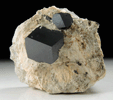 Andradite var. Melanite Garnet from New Idria District, San Benito County, California