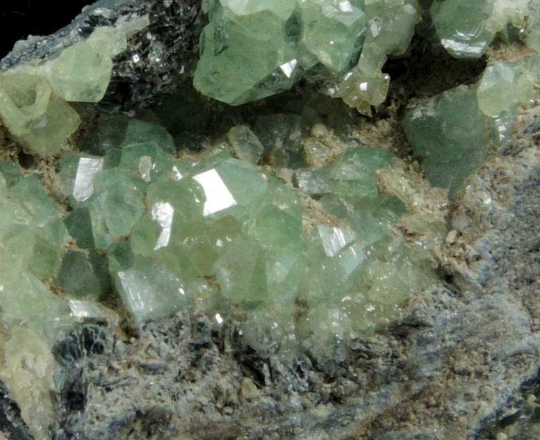 Andradite var. Demantoid Garnet on Clinochlore from Chukotskii (Chukotka), Magadan Oblast, Russia