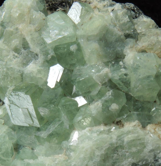 Andradite var. Demantoid Garnet on Clinochlore from Chukotskii (Chukotka), Magadan Oblast, Russia