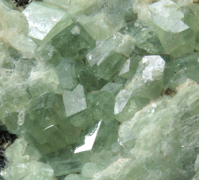 Andradite var. Demantoid Garnet on Clinochlore from Chukotskii (Chukotka), Magadan Oblast, Russia