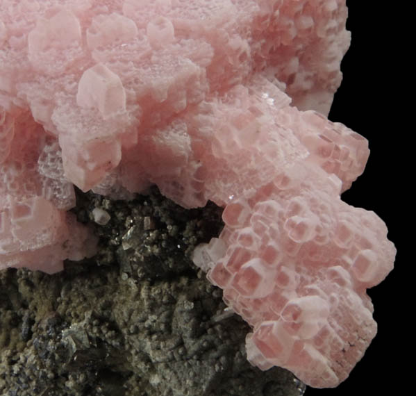 Rhodochrosite on Pyrite from Santa Eulalia District, Aquiles Serdn, Chihuahua, Mexico