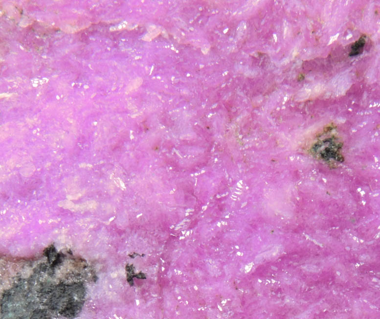 Dolomite var. Cobaltoan with minor Malachite from Kolwezi Mining District, 240 km WNW of Lubumbashi, Katanga Copperbelt, Lualaba Province, Democratic Republic of the Congo