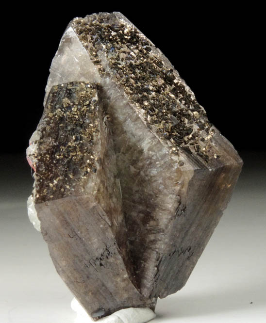 Titanite (twinned crystals) with Pyrrhotite from Dodo Mine, Saranpaul, Tyumenskaya Oblast', Russia