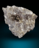 Microlite on Lepidolite from Brack Prospect, East Glastonbury, Hartford County, Connecticut