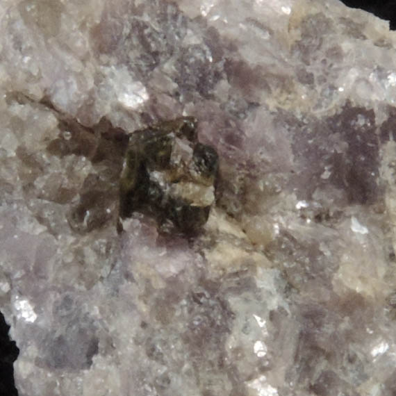 Microlite on Lepidolite from Brack Prospect, East Glastonbury, Hartford County, Connecticut