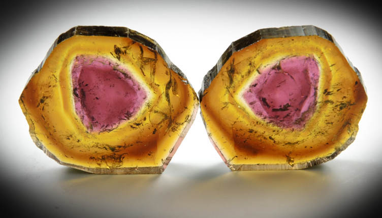 Liddicoatite Tourmaline (two matched sawn slices) from Madagascar