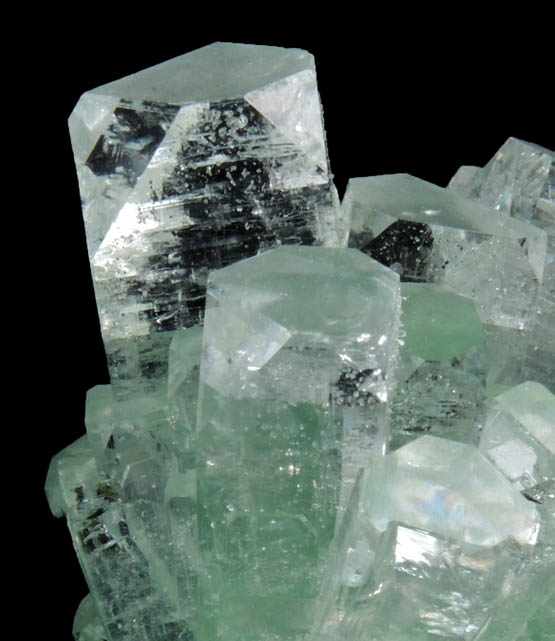 Apophyllite from Momin Akhada, near Rahuri, 50 km north of Ahmednagar, Maharashtra, India (Type Locality for Collected ca. 2001)