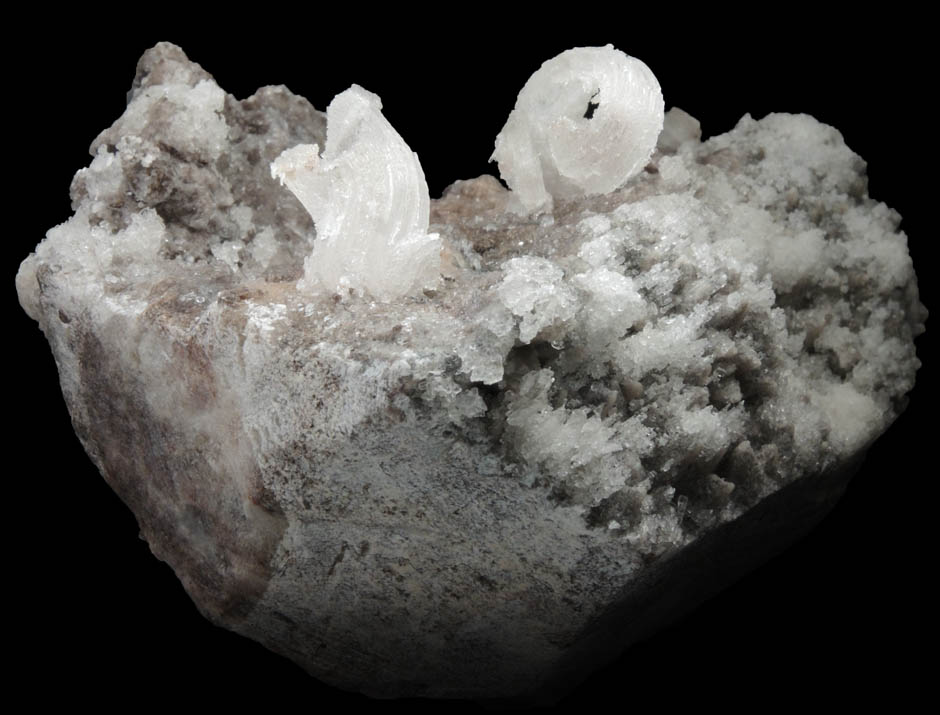 Gypsum var. Ram's Horn habit from Santa Eulalia District, Aquiles Serdn, Chihuahua, Mexico