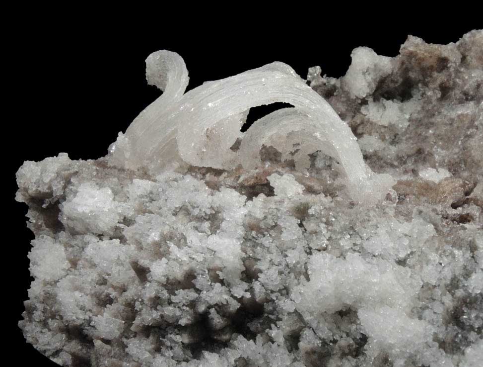 Gypsum var. Ram's Horn habit from Santa Eulalia District, Aquiles Serdn, Chihuahua, Mexico