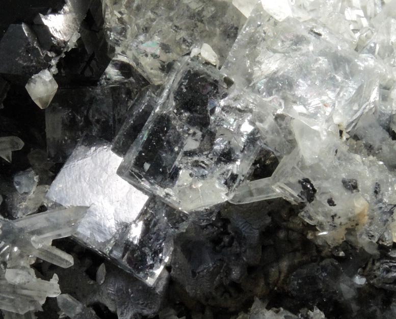 Fluorite, Sphalerite, Calcite Quartz, Pyrite on Galena from Huanzala Mine, Huallanca District, Huanuco Department, Peru