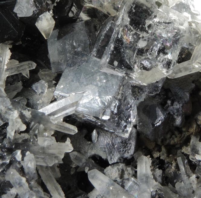 Fluorite, Sphalerite, Calcite Quartz, Pyrite on Galena from Huanzala Mine, Huallanca District, Huanuco Department, Peru