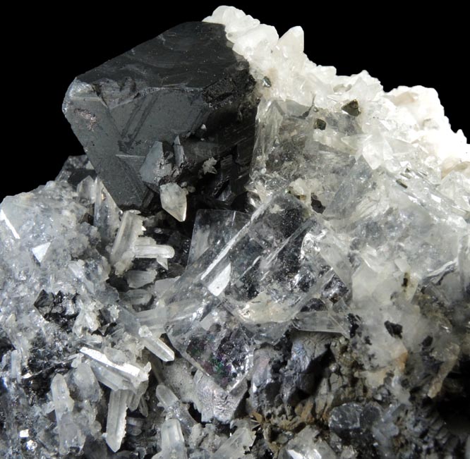 Fluorite, Sphalerite, Calcite Quartz, Pyrite on Galena from Huanzala Mine, Huallanca District, Huanuco Department, Peru