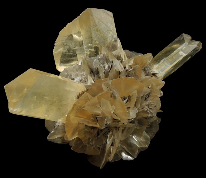 Gypsum (twinned crystals) from Red River Floodway, Winnipeg, Manitoba, Canada
