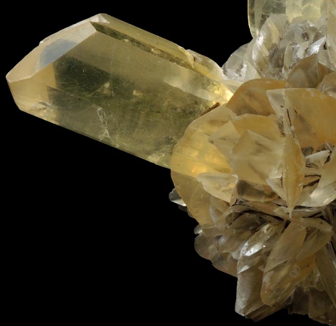 Gypsum (twinned crystals) from Red River Floodway, Winnipeg, Manitoba, Canada