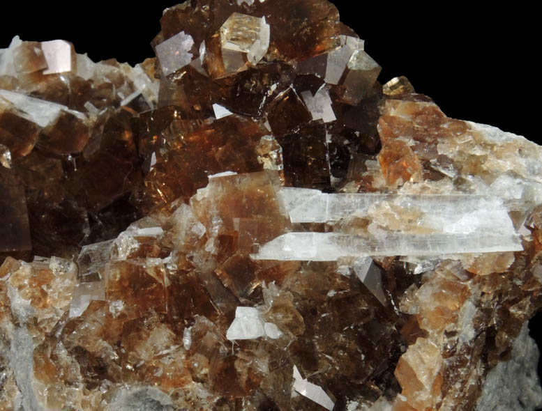 Fluorite with Celestine from White Rock Quarry, Clay Center, Ottawa County, Ohio