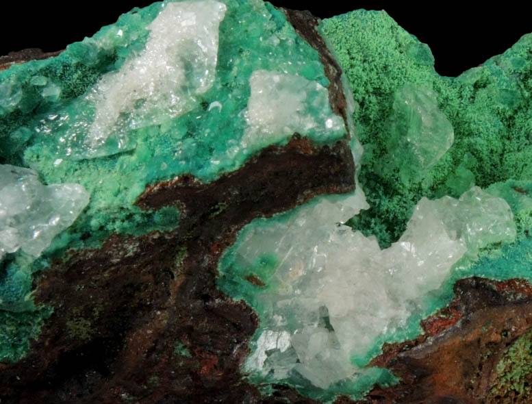 Adamite var. Cuprian Adamite, Conichalcite and Calcite from Mina Ojuela, Mapimi, Durango, Mexico