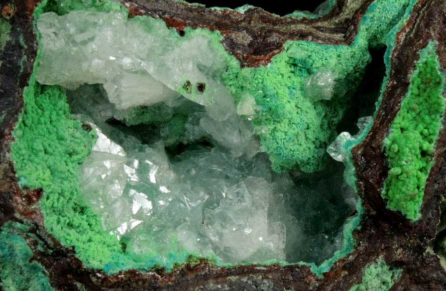 Adamite var. Cuprian Adamite, Conichalcite and Calcite from Mina Ojuela, Mapimi, Durango, Mexico