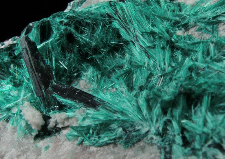 Brochantite from Milpillas Mine, Cuitaca, Sonora, Mexico