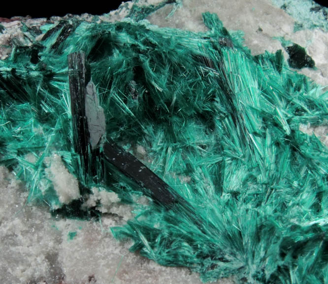 Brochantite from Milpillas Mine, Cuitaca, Sonora, Mexico