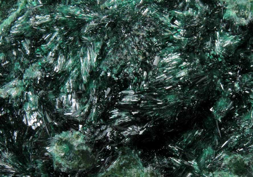 Atacamite with Chrysocolla from Copiapo, Atacama Desert, Chile (Type Locality for Atacamite)