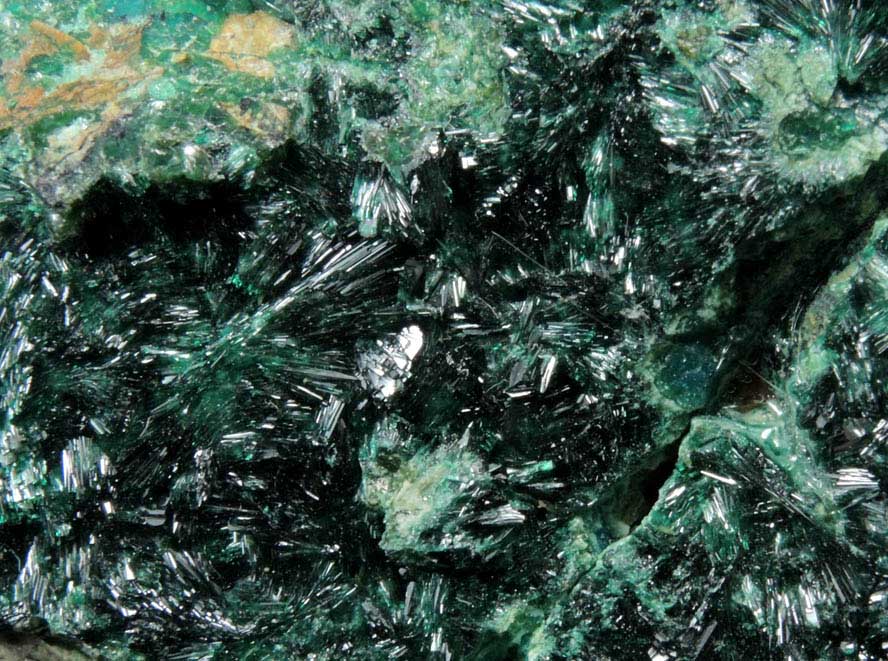 Atacamite with Chrysocolla from Copiapo, Atacama Desert, Chile (Type Locality for Atacamite)