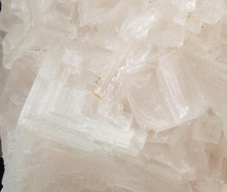 Halite from Searles Lake, east of Trona, San Bernardino County, California