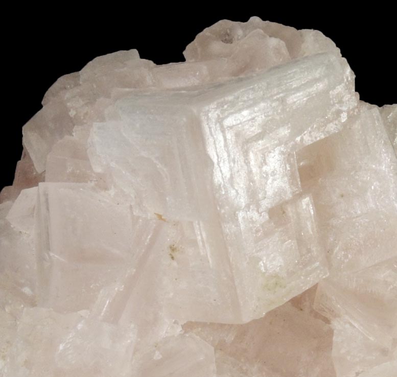 Halite from Searles Lake, east of Trona, San Bernardino County, California