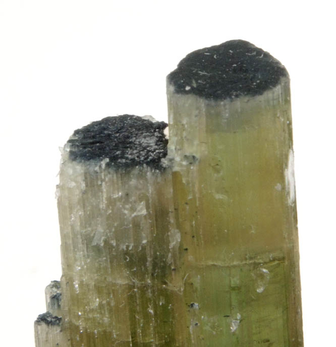 Elbaite Tourmaline (chatoyant) from Cruzeiro Mine, Santa Maria do Suacui, Minas Gerais, Brazil