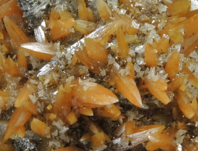 Wulfenite with Gypsum from Mina Ojuela, San Juan Poniente Vein, Level 6, Mapimi, Durango, Mexico