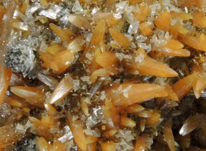 Wulfenite with Gypsum from Mina Ojuela, San Juan Poniente Vein, Level 6, Mapimi, Durango, Mexico