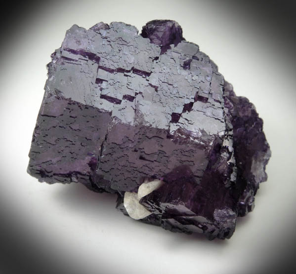 Fluorite with Calcite from Cleveland Mine, Cave-in-Rock District, Hardin County, Illinois