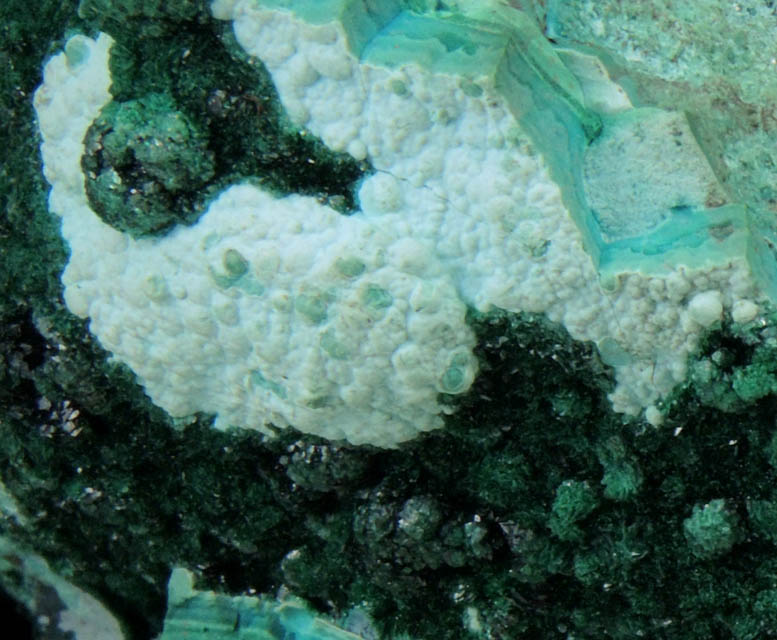 Malachite on Chrysocolla from Kolwezi Mining District, 240 km WNW of  Lubumbashi, Katanga Copperbelt, Lualaba Province, Democratic Republic of the Congo